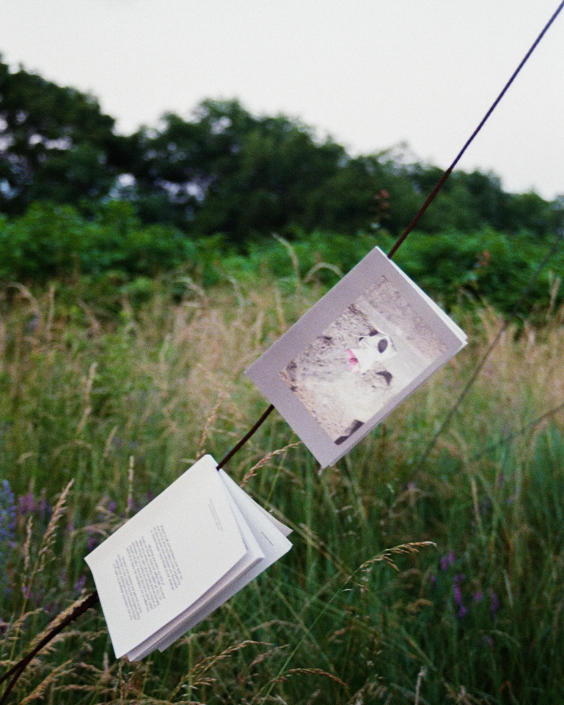 Notebook II - Obrázok 5